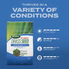 Scotts Turf Builder 2.4 Lb. 200 Sq. Ft. Sun & Shade Mix Grass Seed, Fertilizer, and Soil Improver Combination Image 7