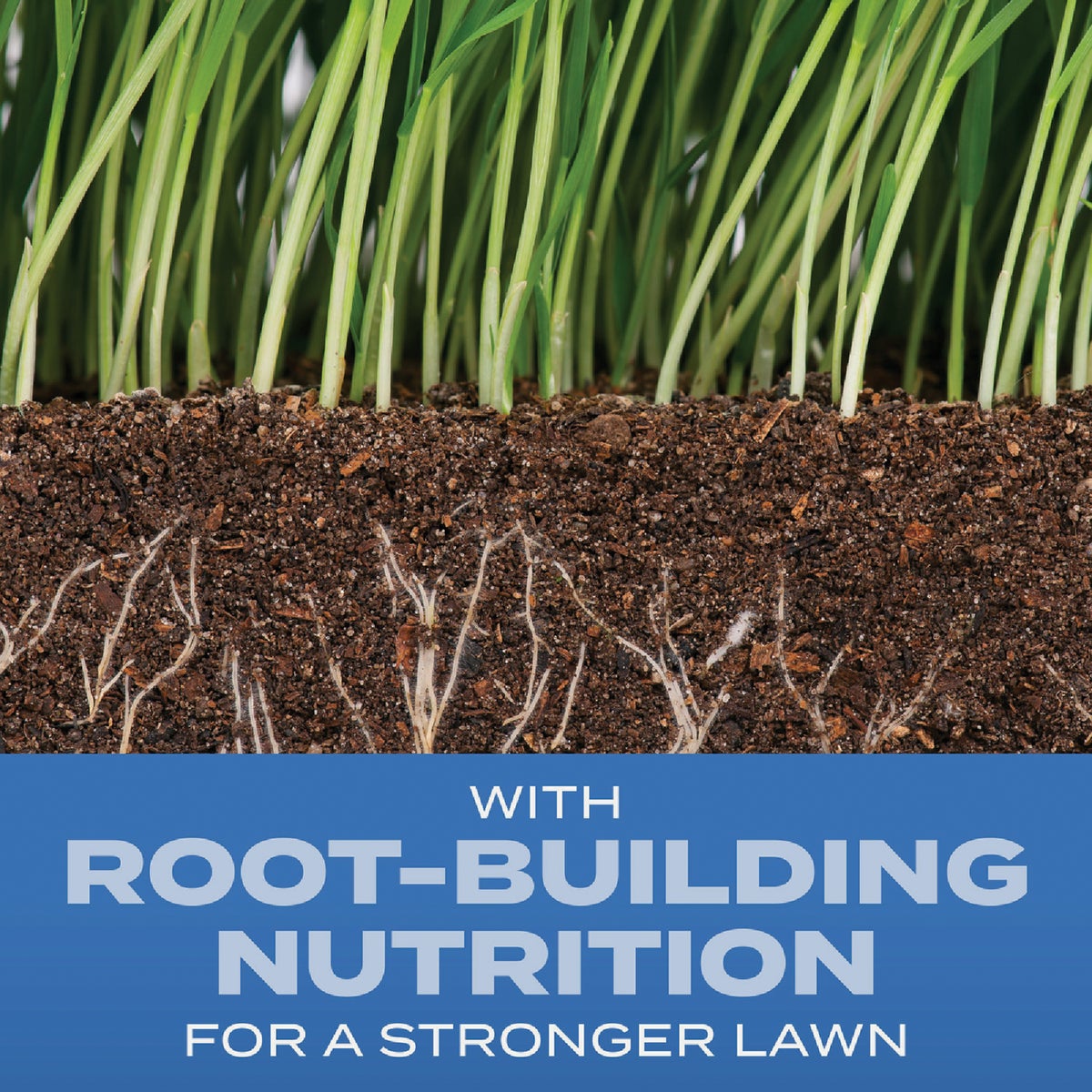 Scotts Turf Builder 2.4 Lb. 200 Sq. Ft. Sun & Shade Mix Grass Seed, Fertilizer, and Soil Improver Combination Image 2