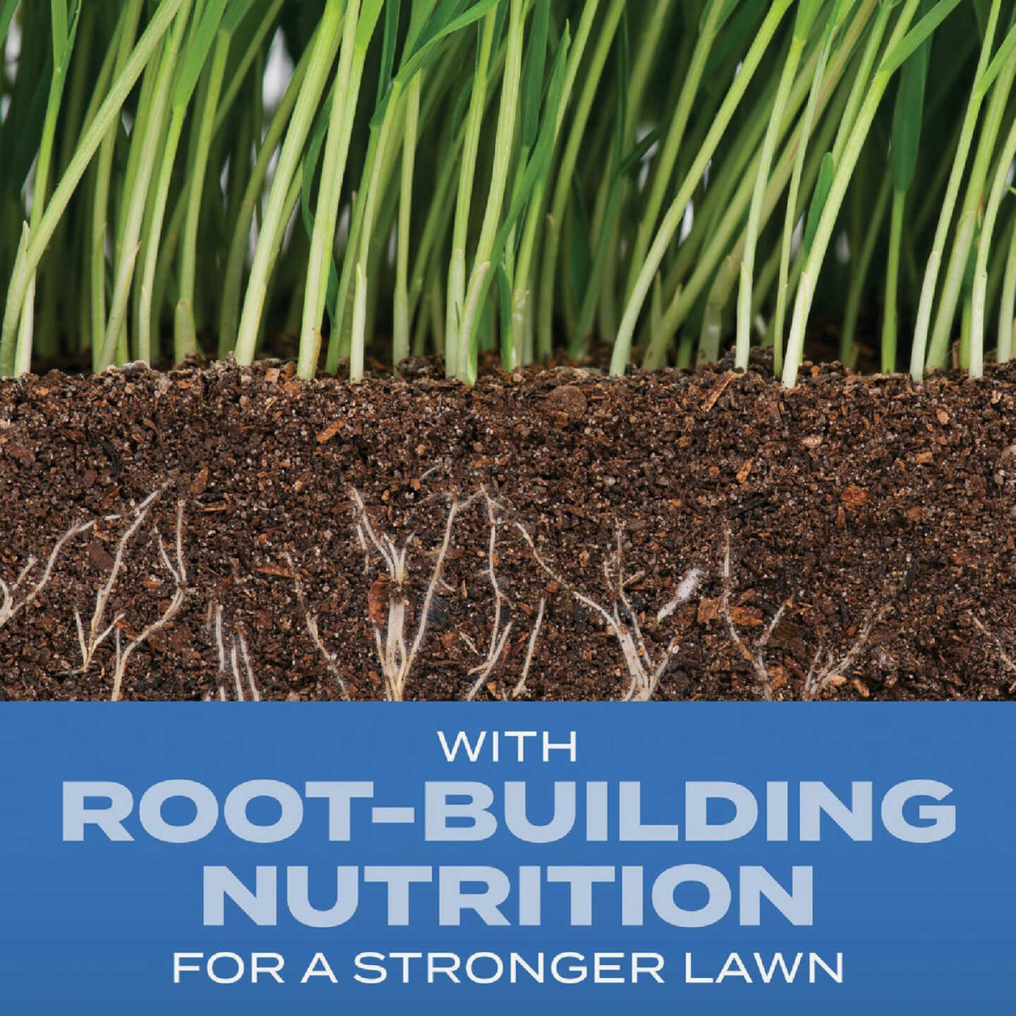 Scotts Turf Builder 2.4 Lb. 200 Sq. Ft. Sun & Shade Mix Grass Seed, Fertilizer, and Soil Improver Combination Image 2