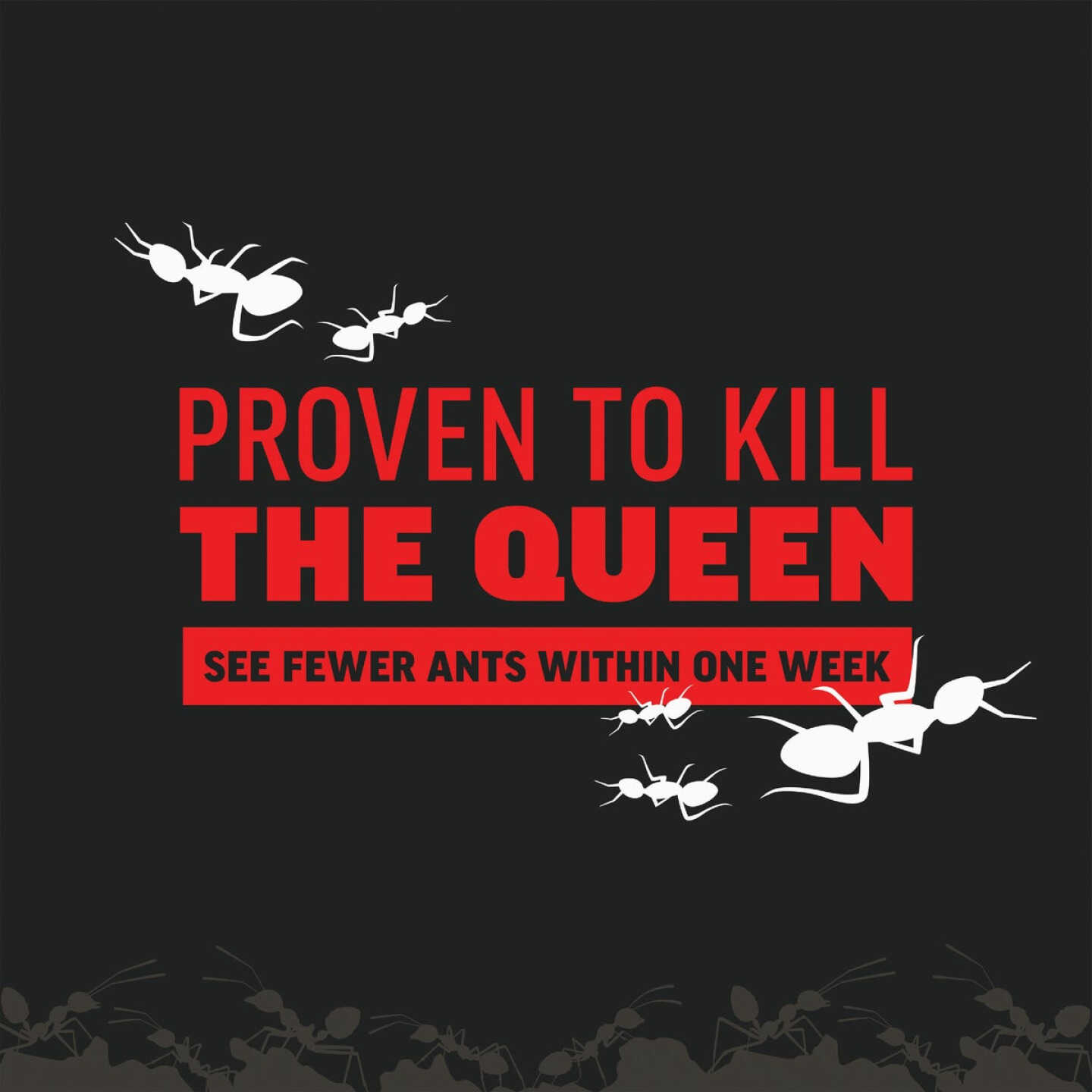Amdro 24 Oz. Ready To Use Granules Home Perimeter Ant Killer Image 3