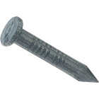 Do it 2d x 1 In. 9 ga Hardened Steel Fluted Masonry Nails (70-Count) Image 3