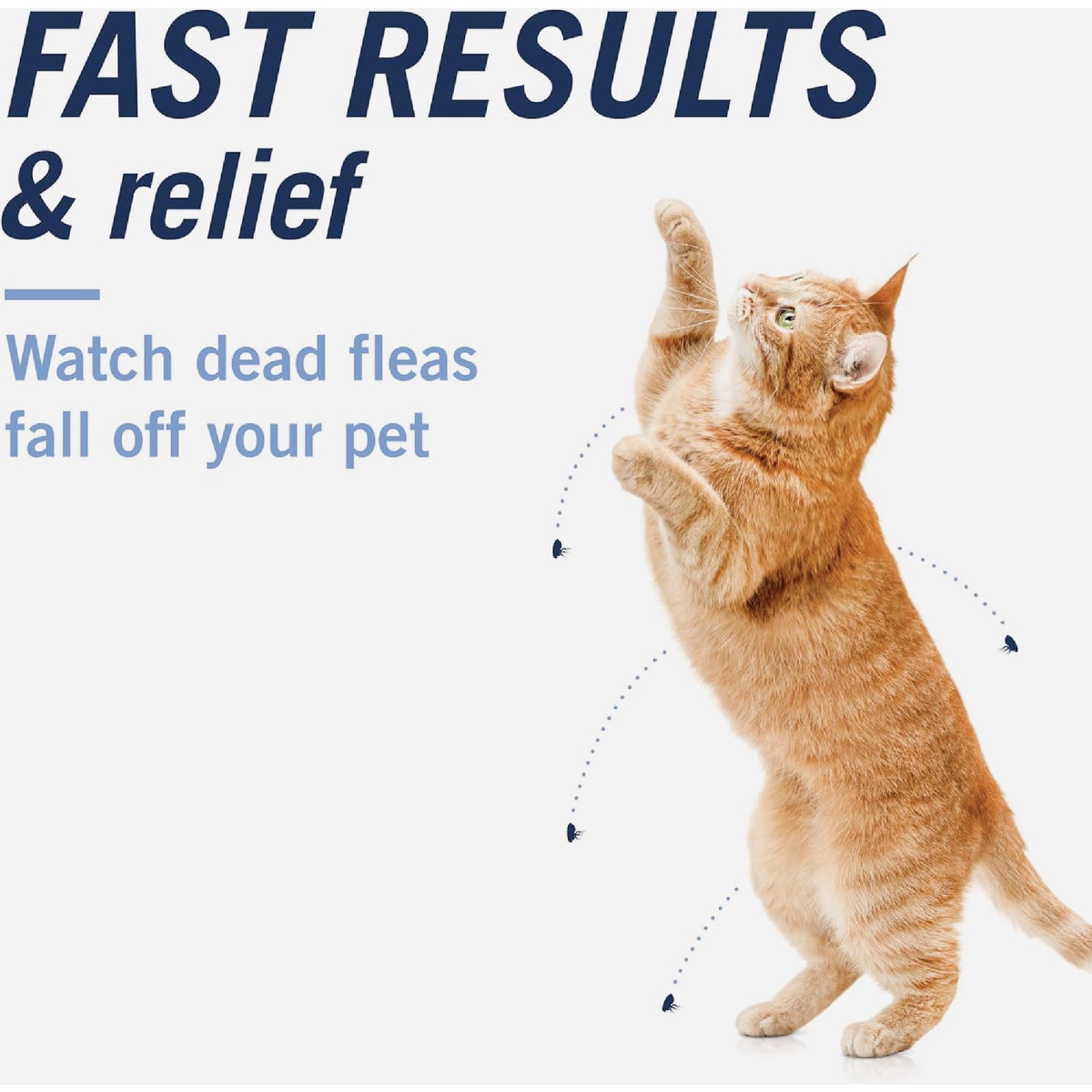 PetArmor CapAction 2 to 25 Lb. Cat Flea Tabs (6-Pack) Image 3