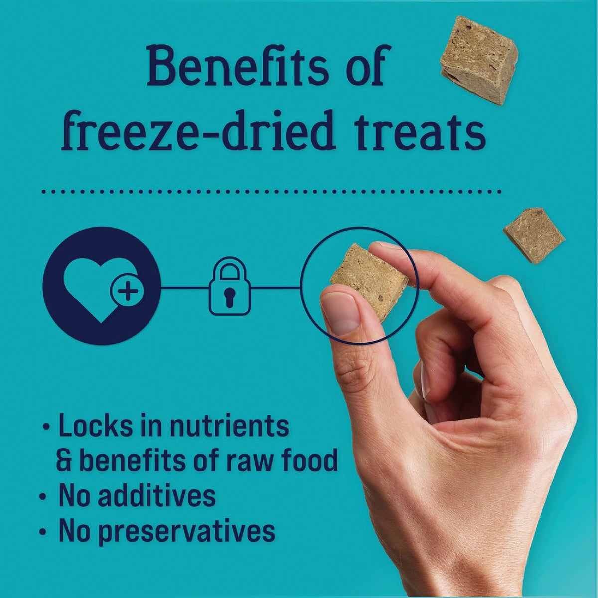 Stewart 14 Oz. Freeze-Dried Beef Liver Dog Treats Image 4