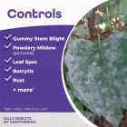 Bonide 16 Oz. Concentrate All Seasons Horticultural & Dormant Spray Oil Image 4