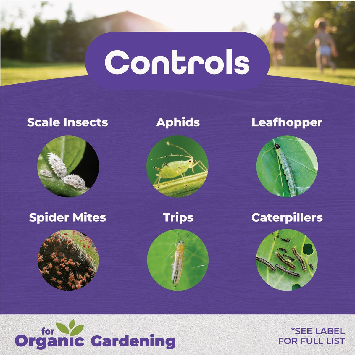 Bonide 16 Oz. Concentrate All Seasons Horticultural & Dormant Spray Oil Image 3
