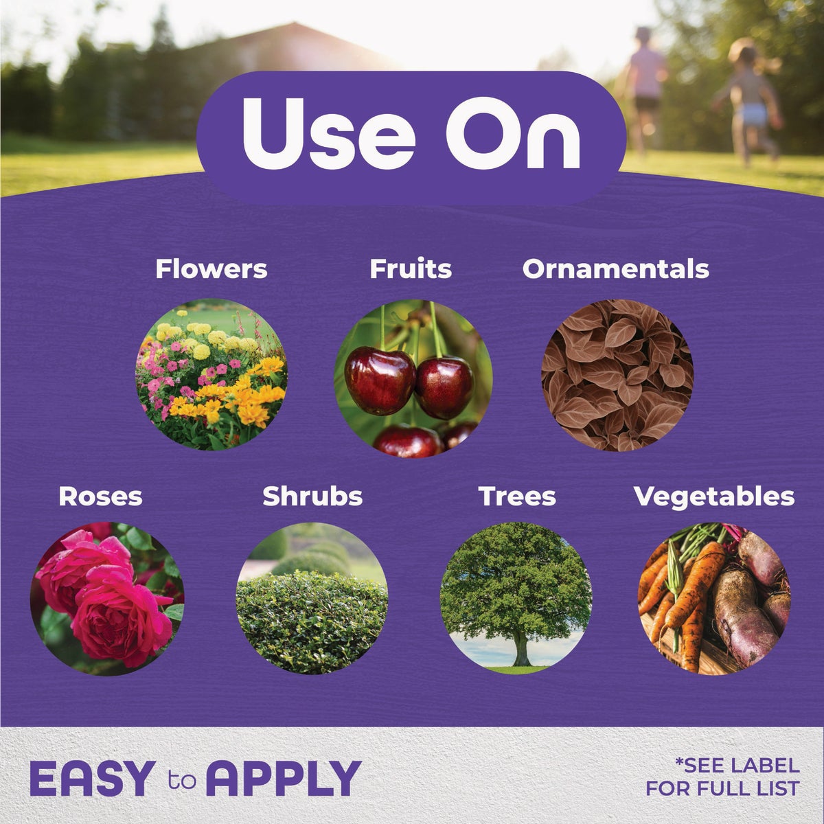 Bonide 16 Oz. Concentrate All Seasons Horticultural & Dormant Spray Oil Image 2