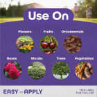 Bonide 16 Oz. Concentrate All Seasons Horticultural & Dormant Spray Oil Image 2