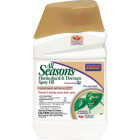 Bonide 16 Oz. Concentrate All Seasons Horticultural & Dormant Spray Oil Image 1