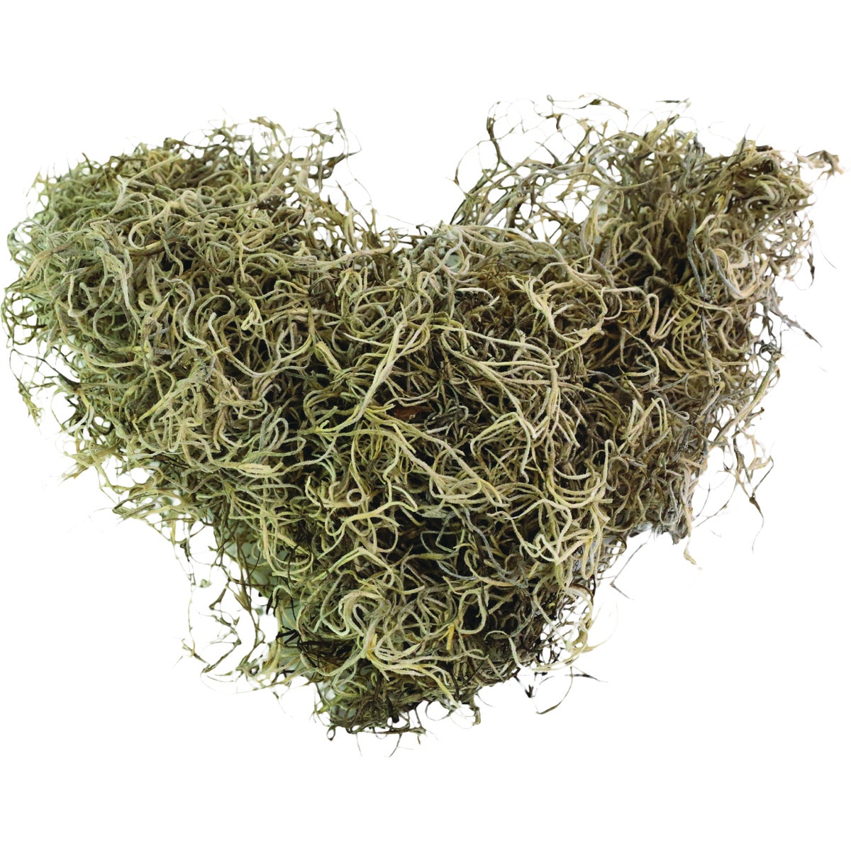 Mossify 5.3 Oz. Premium Natural Spanish Moss Image 2