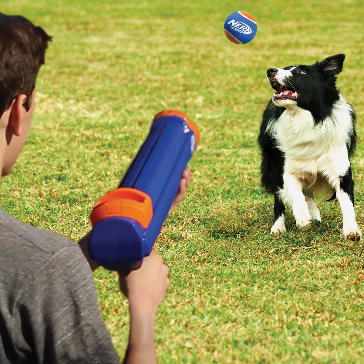Nerf Dog 16 In. Blaster Dog Toy with Ball Clip Image 3