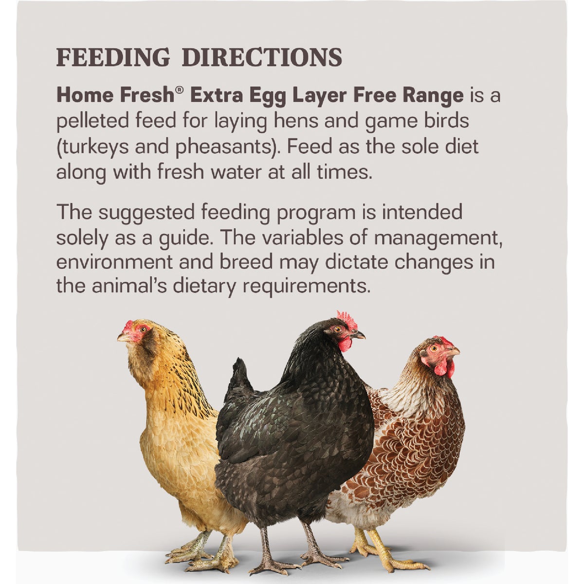 Kent Home Fresh Extra Egg Layer Free Range 40 Lb. Pellet Feed Image 3