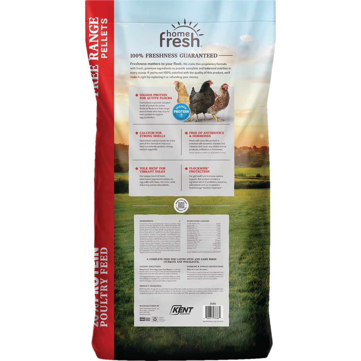 Kent Home Fresh Extra Egg Layer Free Range 40 Lb. Pellet Feed Image 6