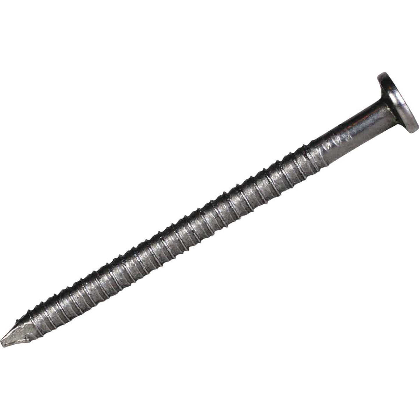 Maze 1-1/4 In. 14 ga Ring Shank Underlayment Flooring Nails (528 Ct., 1 Lb.) Image 1