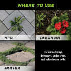 Ortho GroundClear 1 Gal. Wand Sprayer Weed & Grass Killer Image 4