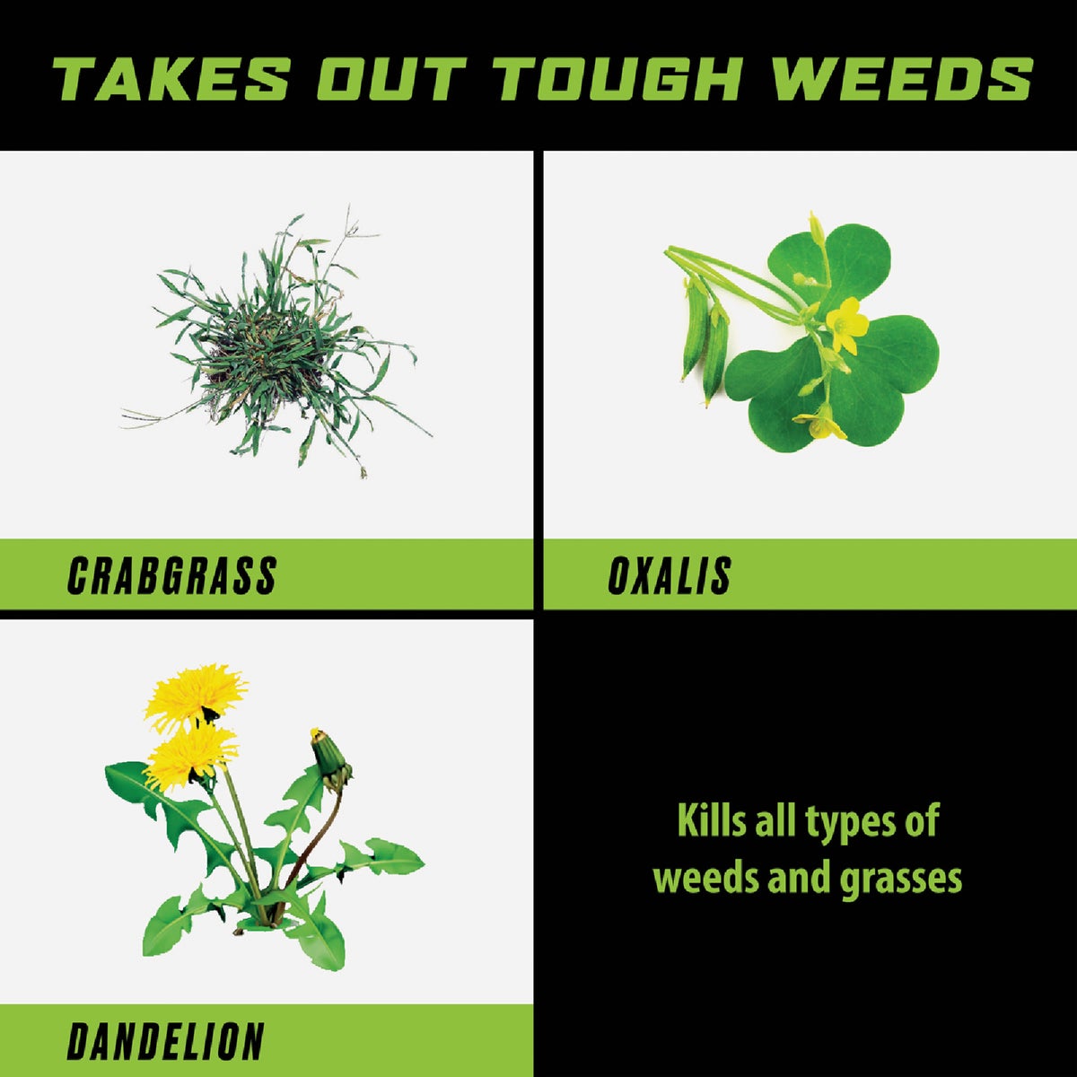 Ortho GroundClear 1 Gal. Wand Sprayer Weed & Grass Killer Image 2