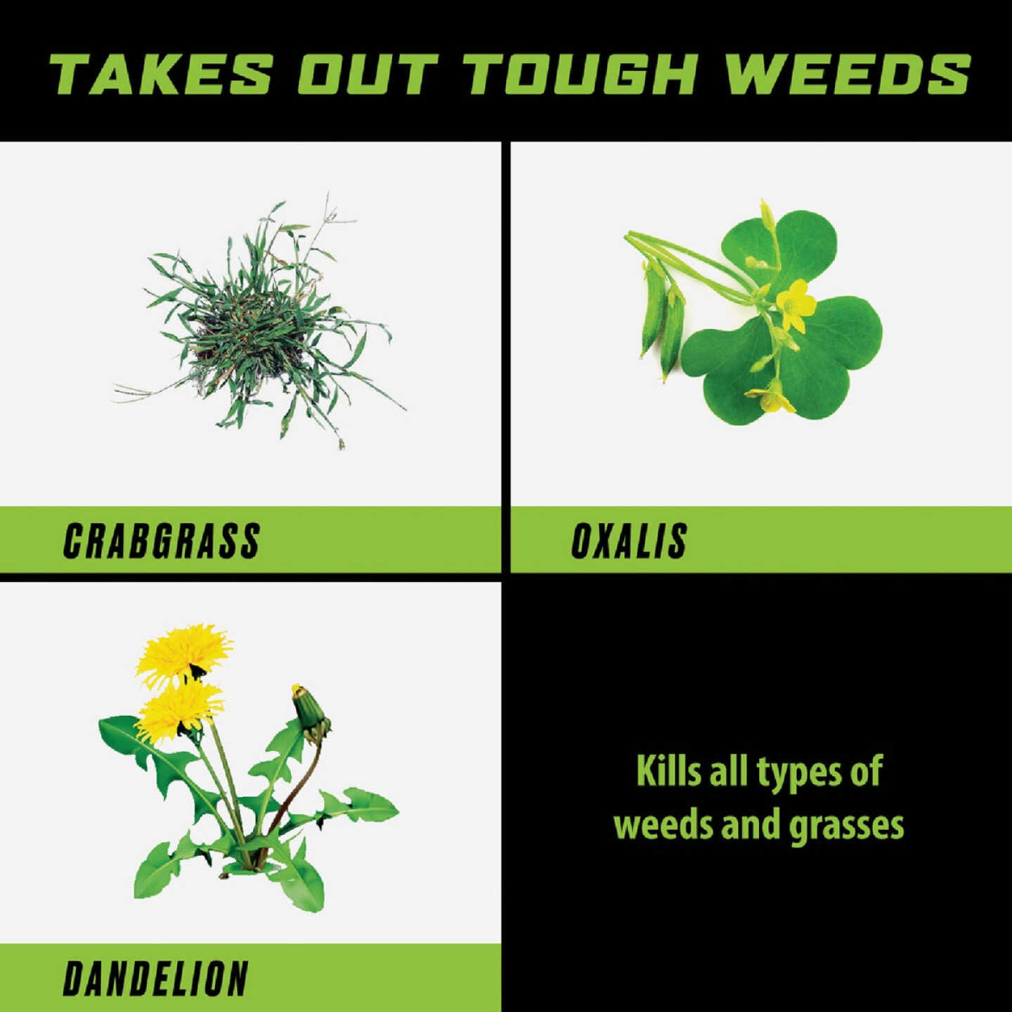 Ortho GroundClear 1 Gal. Wand Sprayer Weed & Grass Killer Image 2