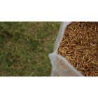 Wonder Grubs 5 Lb. Dried Mealworms Image 3