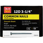 Do it 12d x 3-1/4 In. 9 ga Bright Common Nails (61-Count, 1 Lb.) Image 1