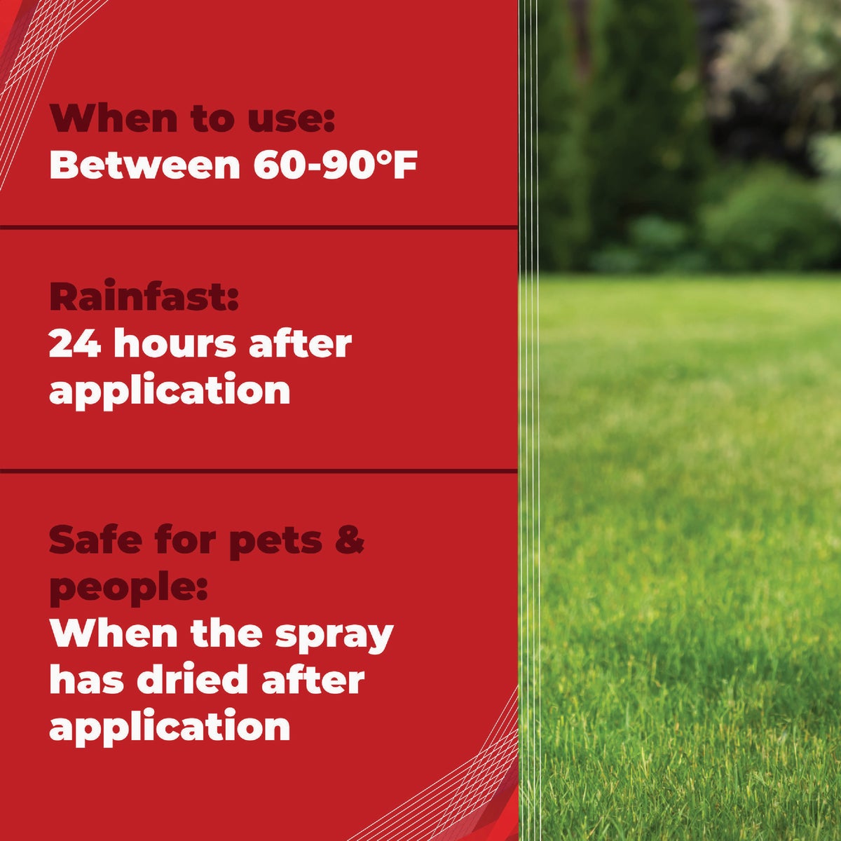 Gordon's Trimec 1 Qt. Concentrate Lawn Weed Killer Image 4