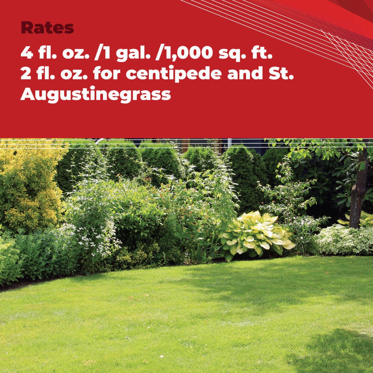 Gordon's Trimec 1 Qt. Concentrate Lawn Weed Killer Image 3