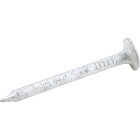 Do it 1-1/4 In. 11 ga Hot Galvanized Roofing Nails (210-Count, 1 Lb.) Image 1