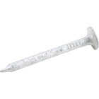 Do it 1-3/4 In. 11 ga Hot Galvanized Roofing Nails (150-Count, 1 Lb.) Image 1