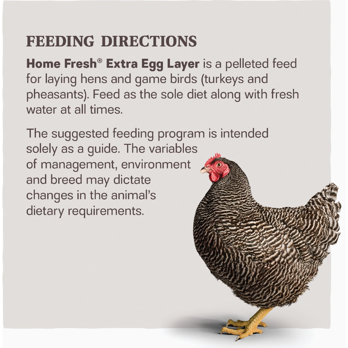 Kent Home Fresh Extra Egg Layer 50 Lb. Pellet Feed Image 3