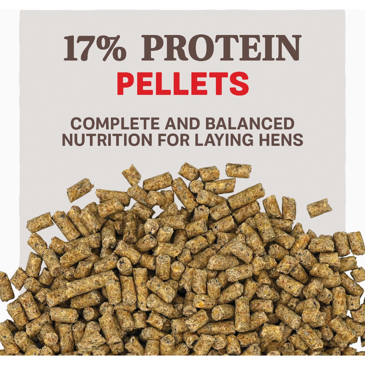 Kent Home Fresh Extra Egg Layer 50 Lb. Pellet Feed Image 2