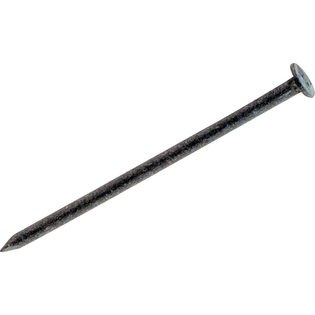 Do it Best 2-1/2 In. 11.5 ga x 8d Hot Galvanized Box Nails (7250-Count, 50 Lb.)