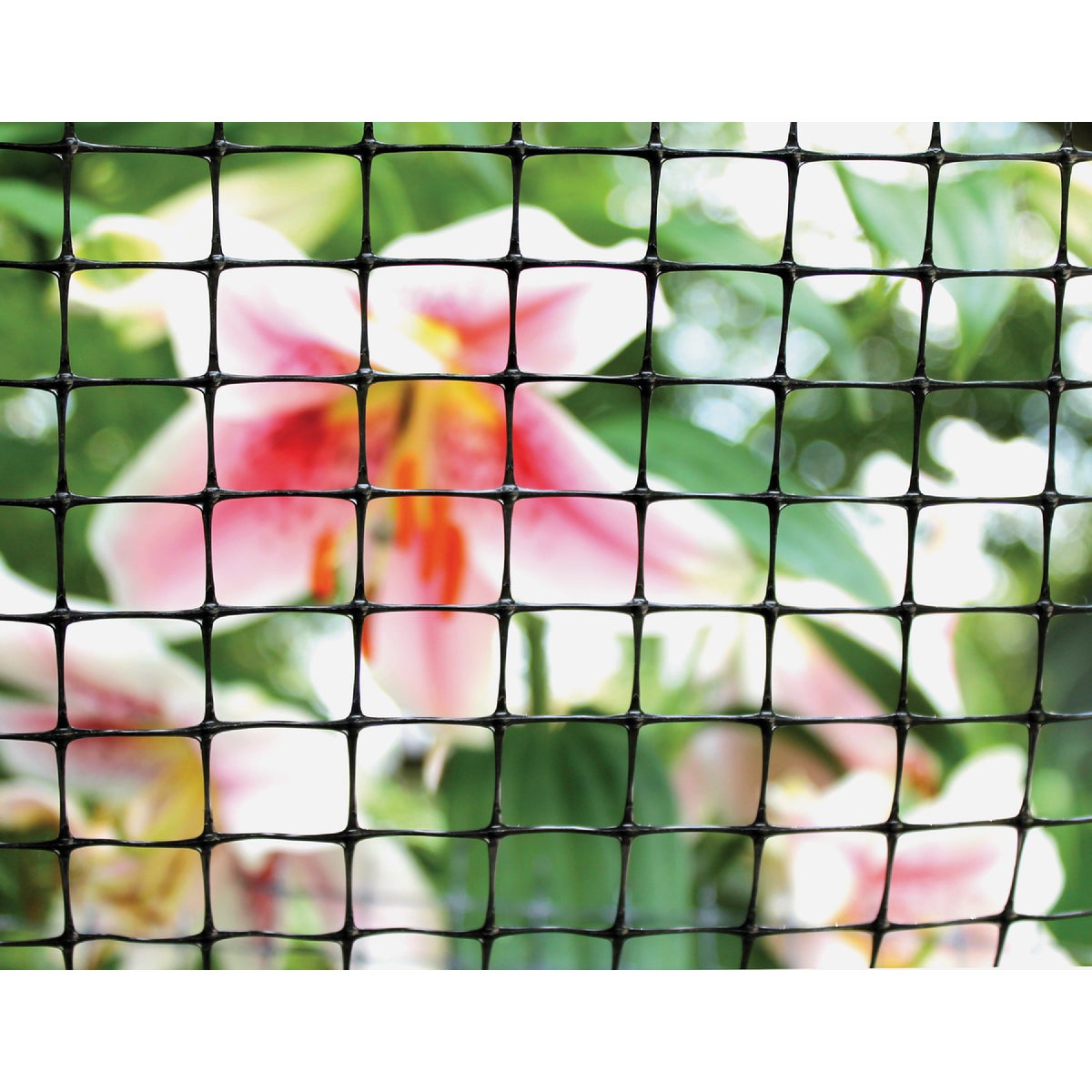 Tenax 3/4 In. x 1 In. Mesh 3 Ft. x 50 Ft. Black Multi-Purpose Net Image 2