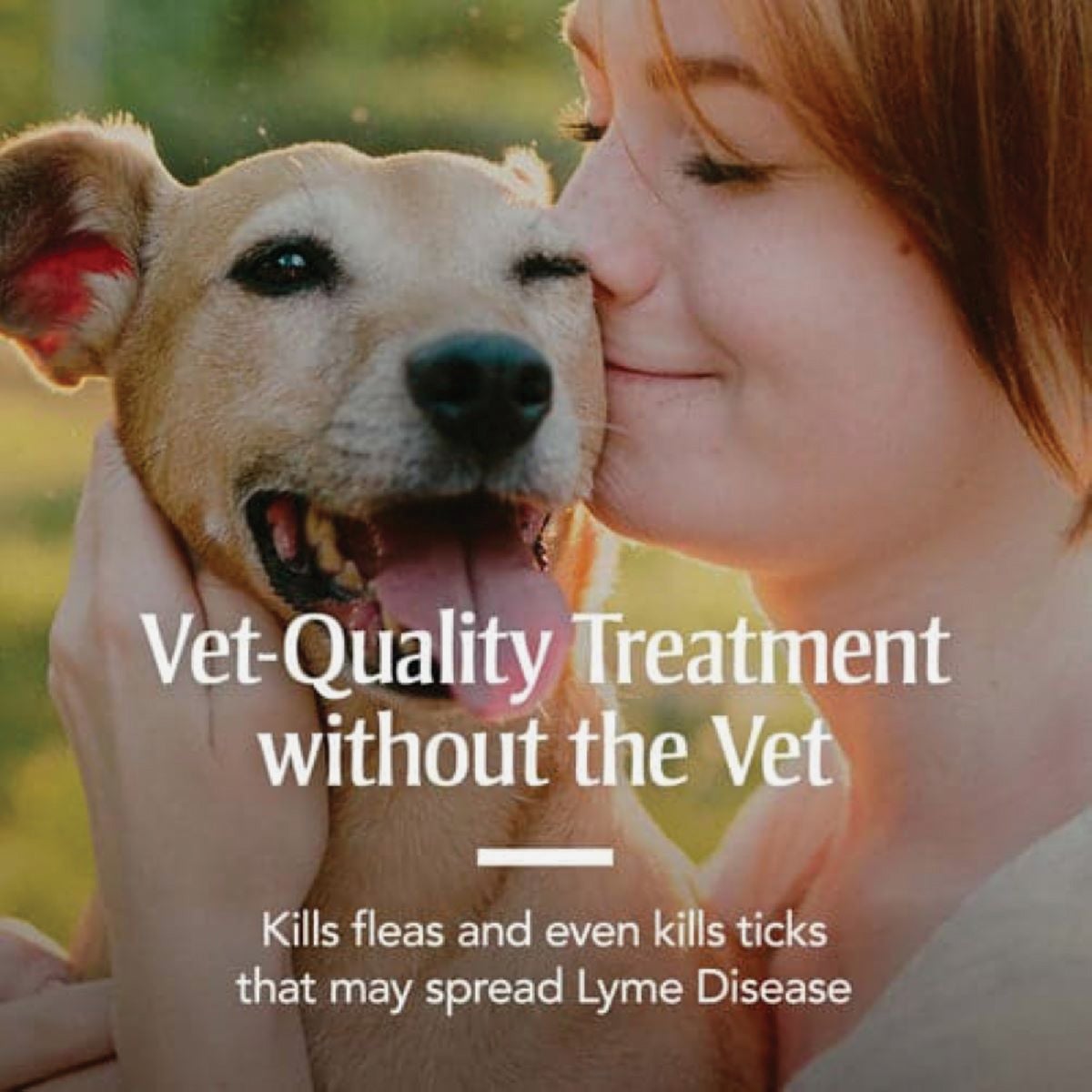PetArmor Dog Flea & Tick Dog Collar Image 2