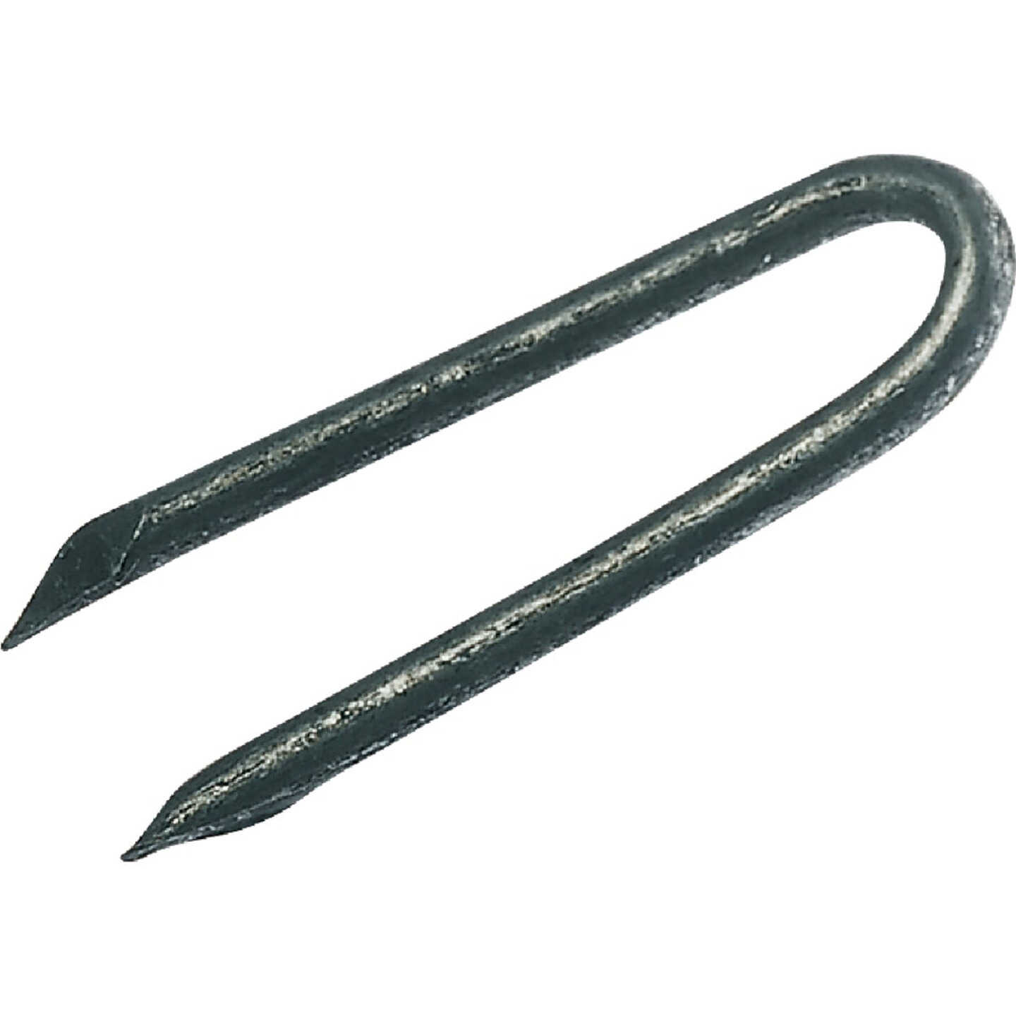 Do it Best 1 In. 9 ga Hot Galvanized Fence Staples (5300-Count, 50 Lb.) Image 1