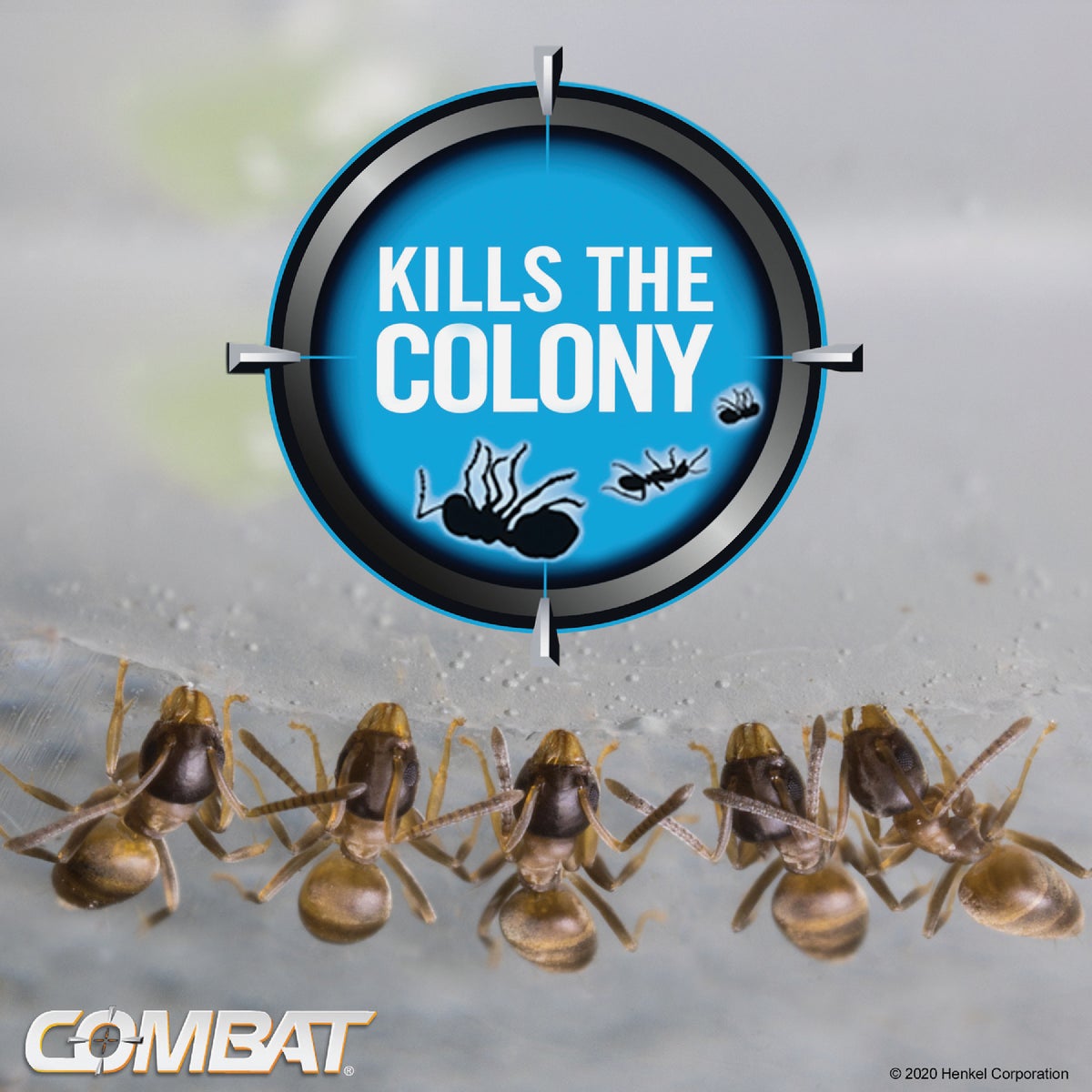Combat Source Kill 0.21 Oz. Solid Ant Bait Station (6-Pack) Image 5