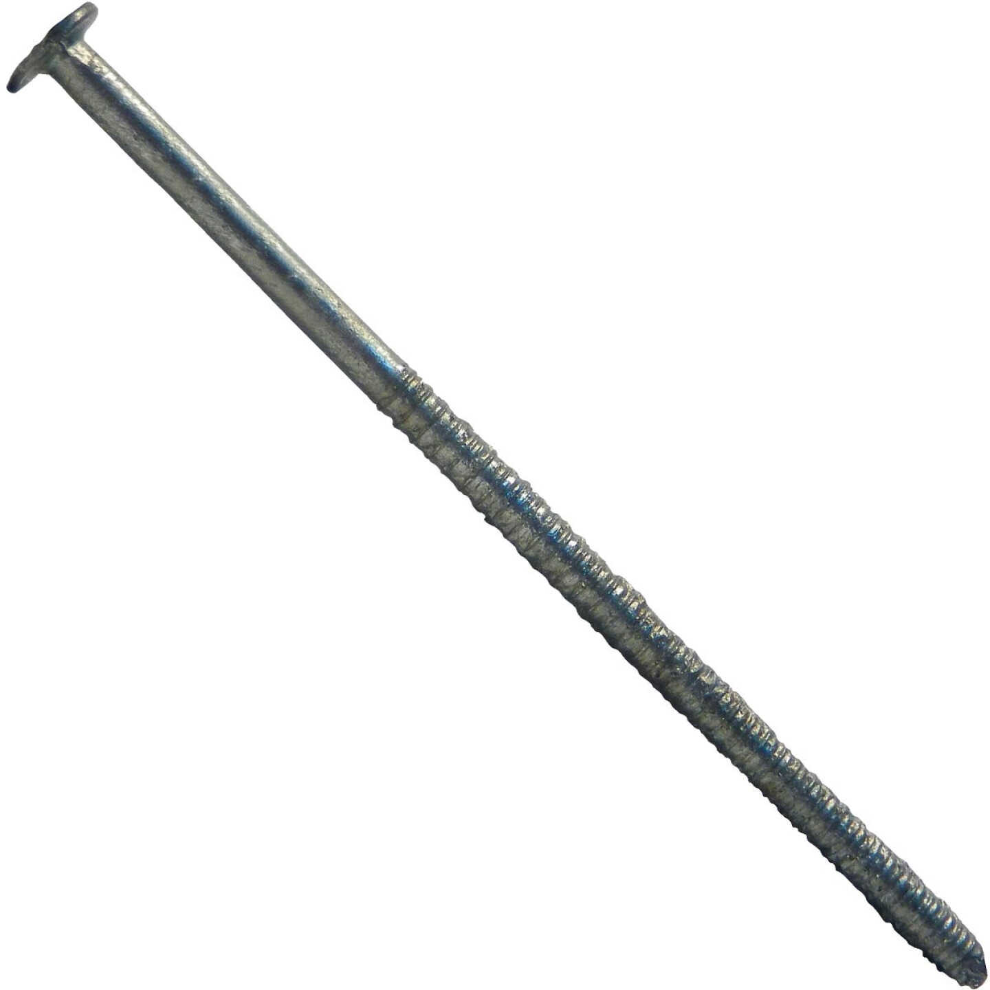 Maze 2-1/2 In. 13 ga Hot Dipped Galvanized Wood Siding Nails (9450 Ct., 50 Lb.) Image 1