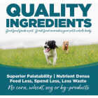 NutriSource 12.3 Oz. Chicken, Lamb & Fish Wet Dog Food Image 4