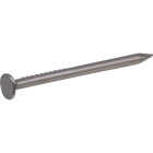 Hillman Anchor Wire 1-1/4 In. 16 ga Bright Wire Nails (1.75 Oz.) Image 2
