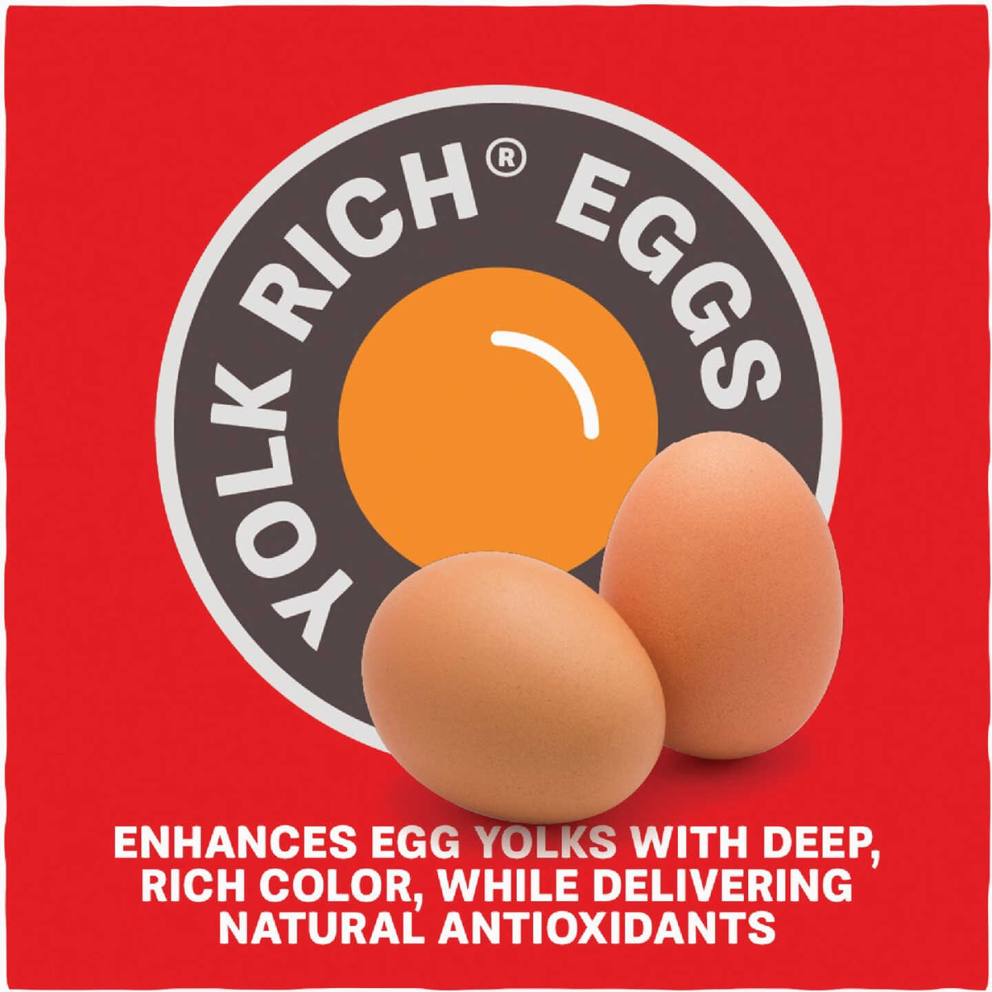 Kent Home Fresh Extra Egg Layer 50 Lb. Crumble Feed Image 6