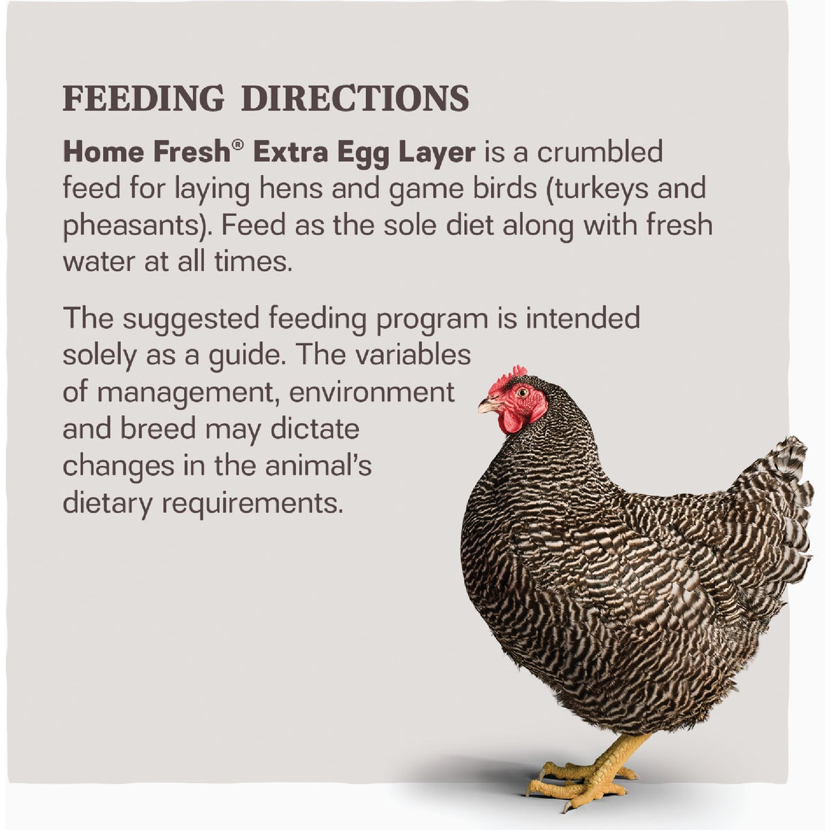 Kent Home Fresh Extra Egg Layer 50 Lb. Crumble Feed Image 3