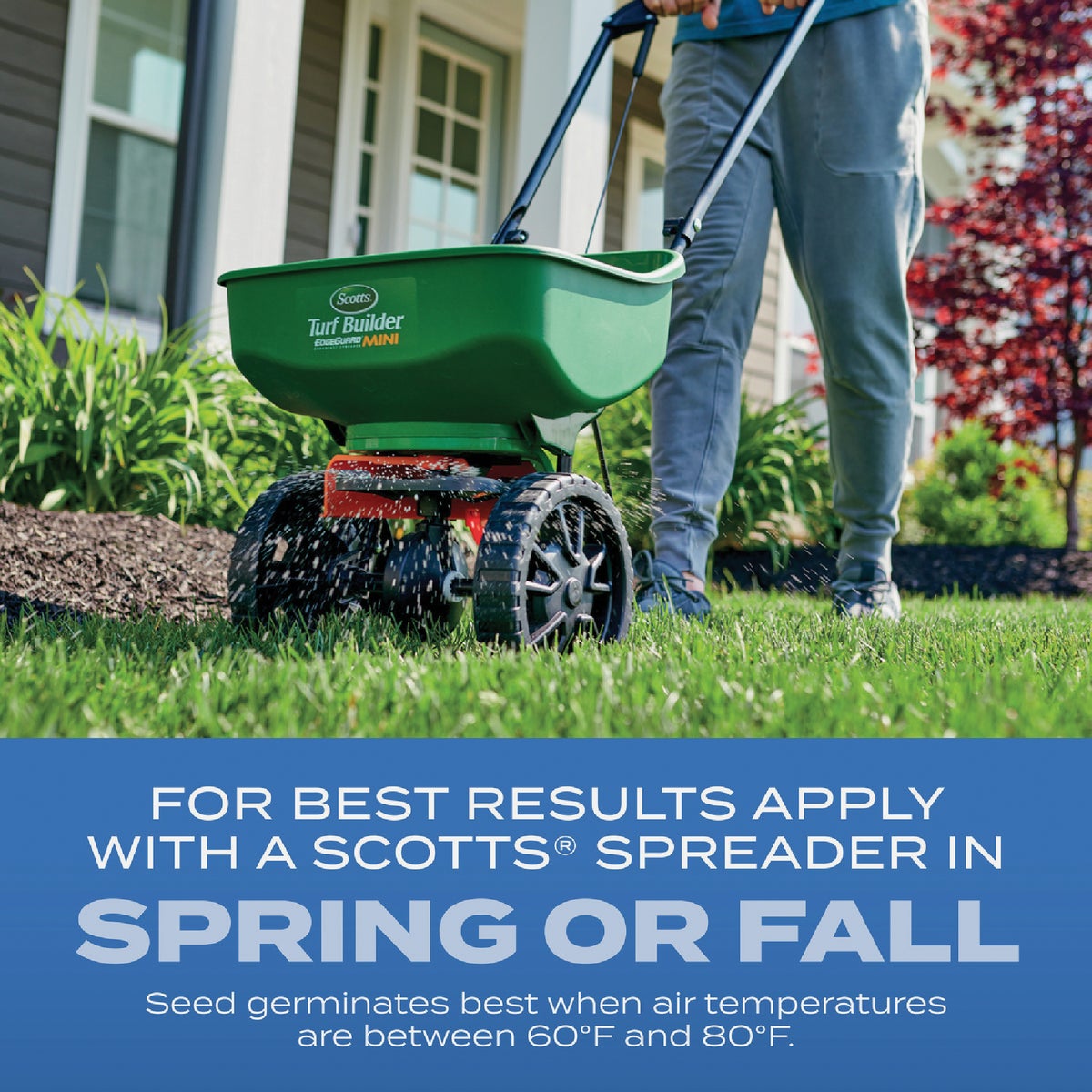Scotts Turf Builder 16 Lb. 1330 Sq. Ft. Sun & Shade Mix Grass Seed, Fertilizer, and Soil Improver Combination Image 5