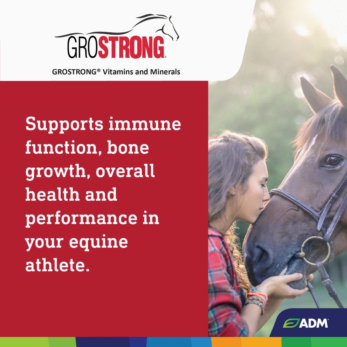 GroStrong 5 Lb. Horse Mineral Image 4