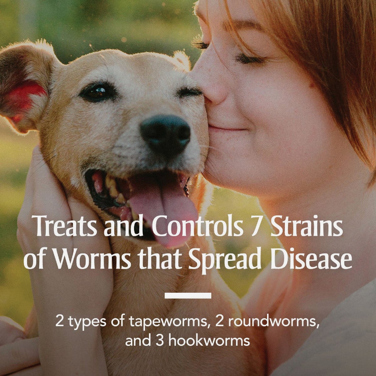 PetArmor 7-Way De-Wormer for Small Dogs & Puppies (2-Pack) Image 2