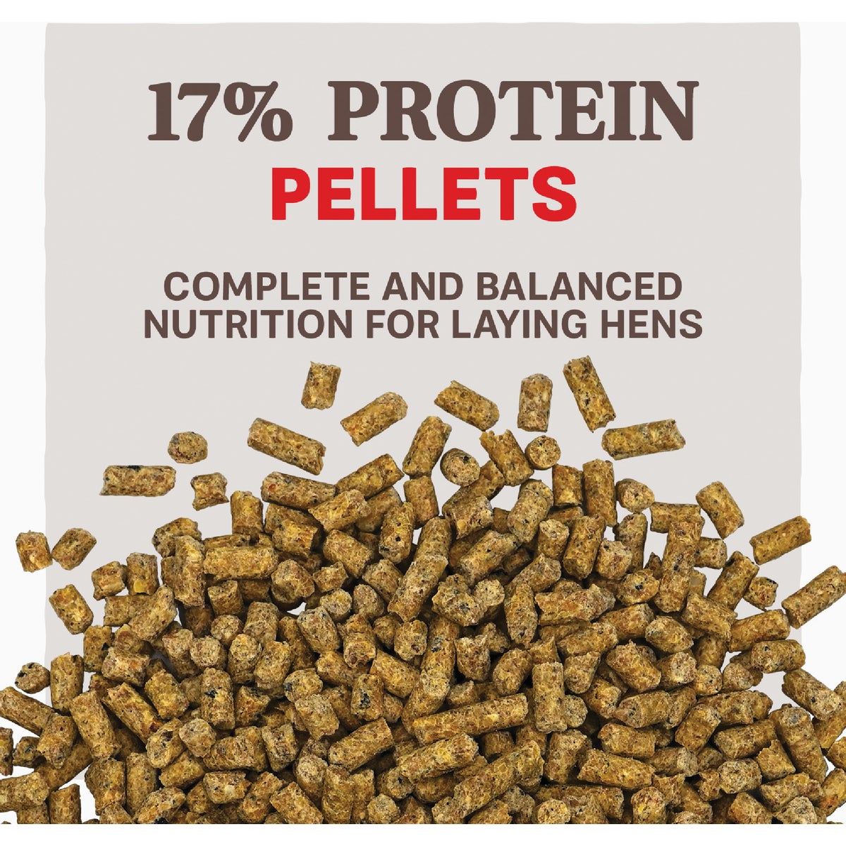 Kent Home Fresh Extra Egg Layer + Omega 50 Lb. Pellet Feed Image 2