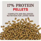 Kent Home Fresh Extra Egg Layer + Omega 50 Lb. Pellet Feed Image 2