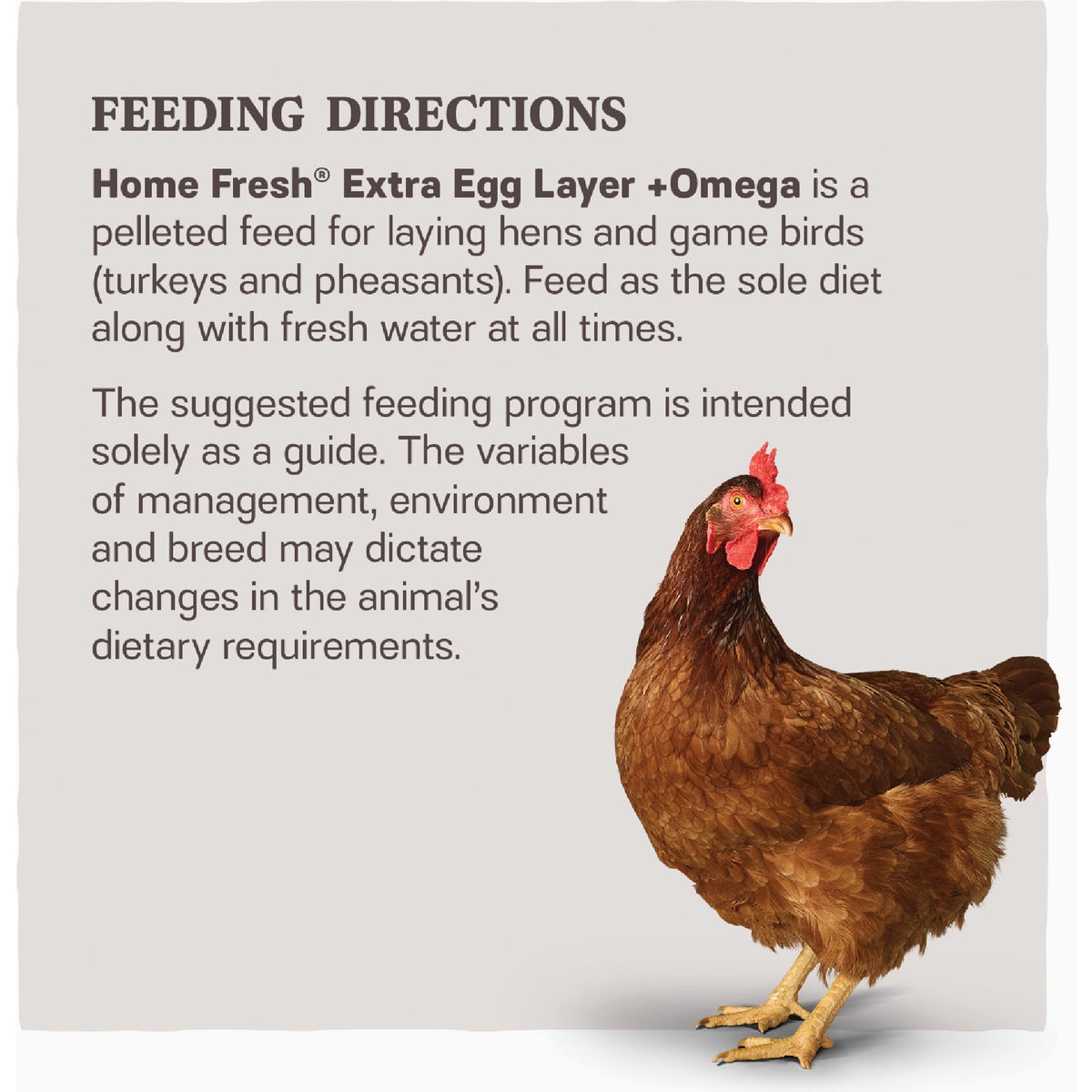 Kent Home Fresh Extra Egg Layer + Omega 50 Lb. Pellet Feed Image 3