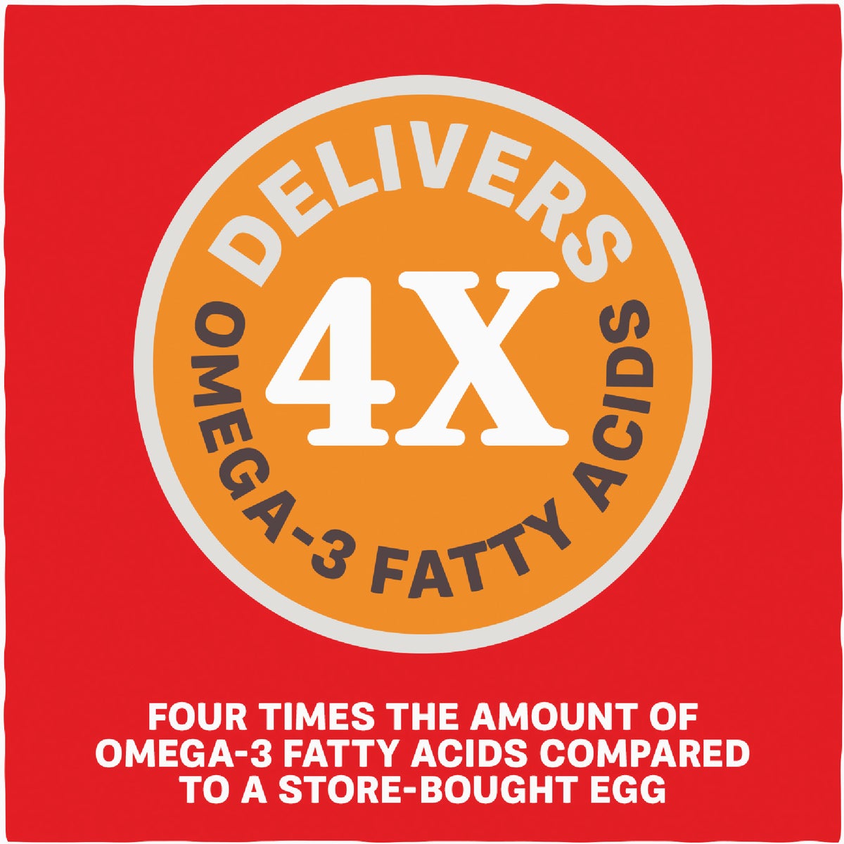Kent Home Fresh Extra Egg Layer + Omega 50 Lb. Pellet Feed Image 5