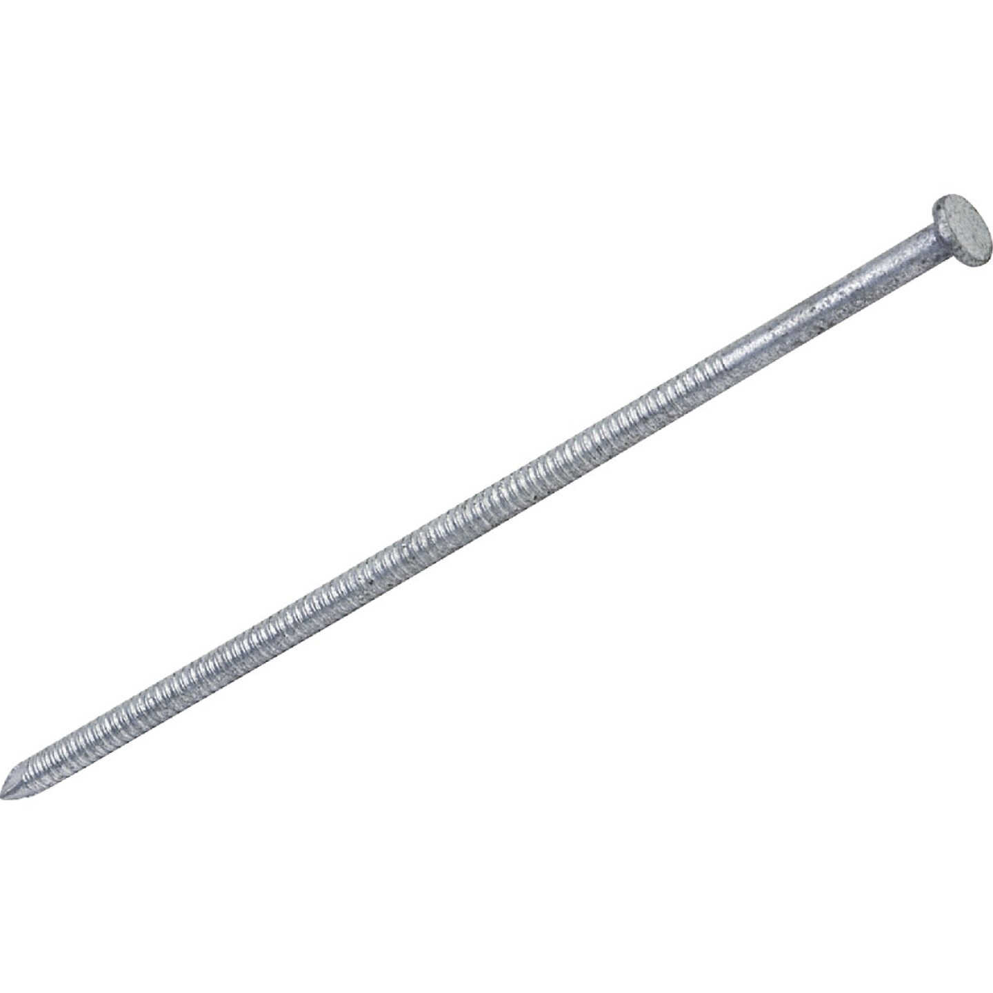 Do it Best 5 In. x 7 ga x 40d Hot Galvanized Ring Shank Pole Barn Nails (840-Count, 30 Lb.) Image 1