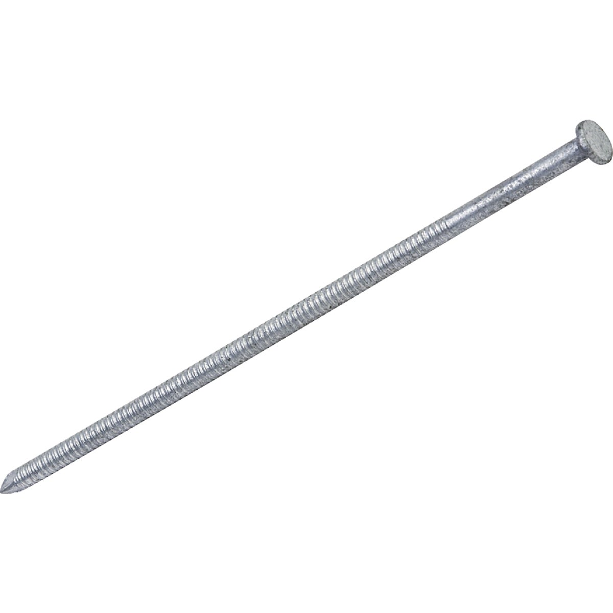 Do it Best 6 In. x 5 ga x 60d Hot Galvanized Ring Shank Pole Barn Nails (510-Count, 30 Lb.)
