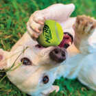 Nerf Dog 2.5 In. Squeak Tennis Ball (4-Pack) Image 4