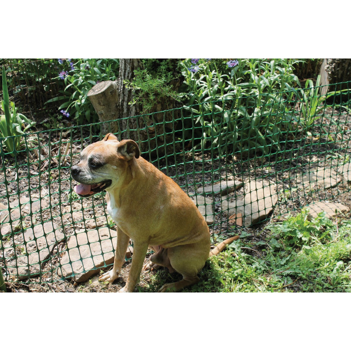 Tenax 3 Ft. H. x 25 Ft. L. High-Density Polyethylene Garden Fence, Green Image 3