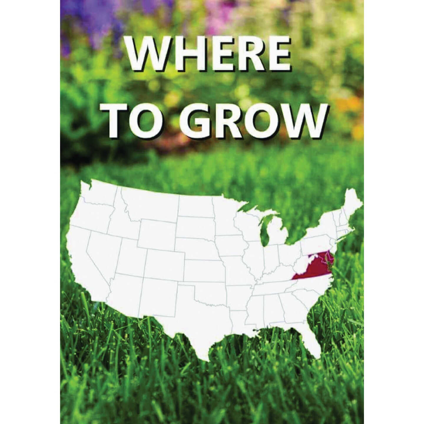 Jonathan Green Black Beauty Delmarva 7 Lb. 2150 Sq. Ft. Coverage Tall Fescue Grass Seed Image 2